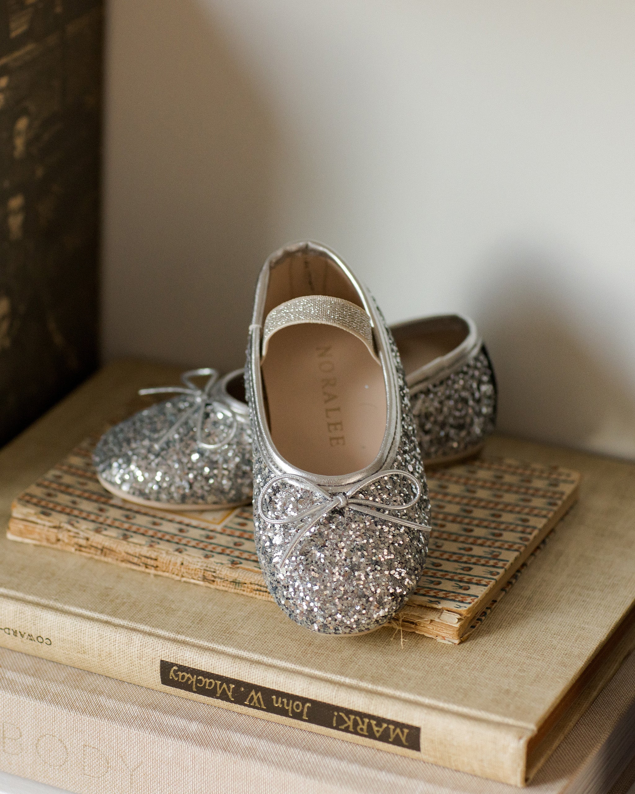 Ballet Flats | Silver Sparkle
