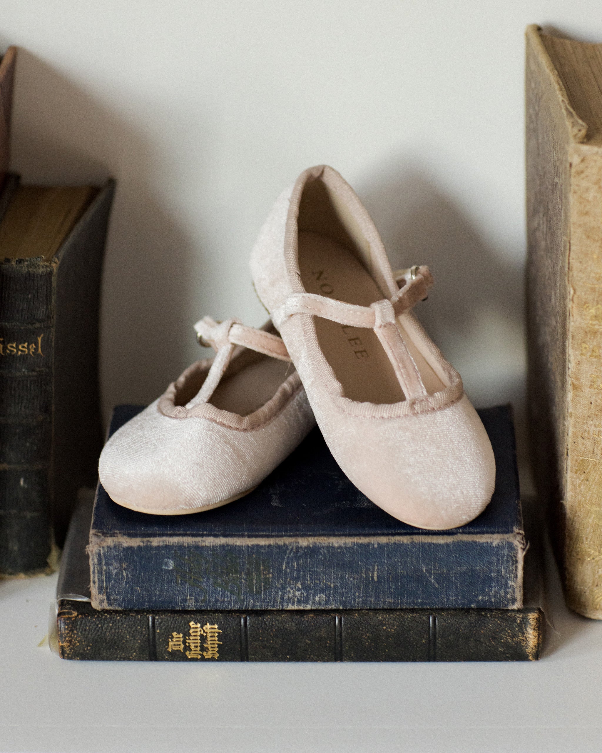 T-Strap Ballet Flats | Rose