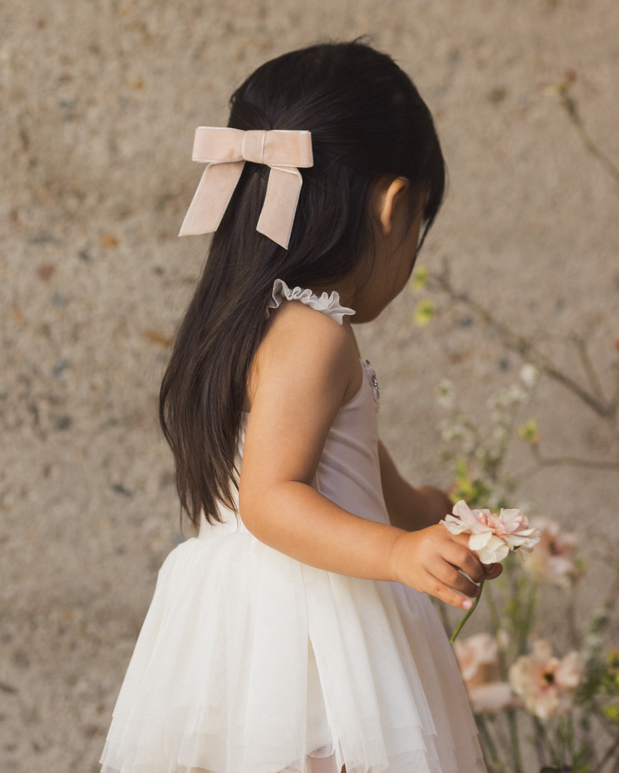 Velvet Bow | Rose