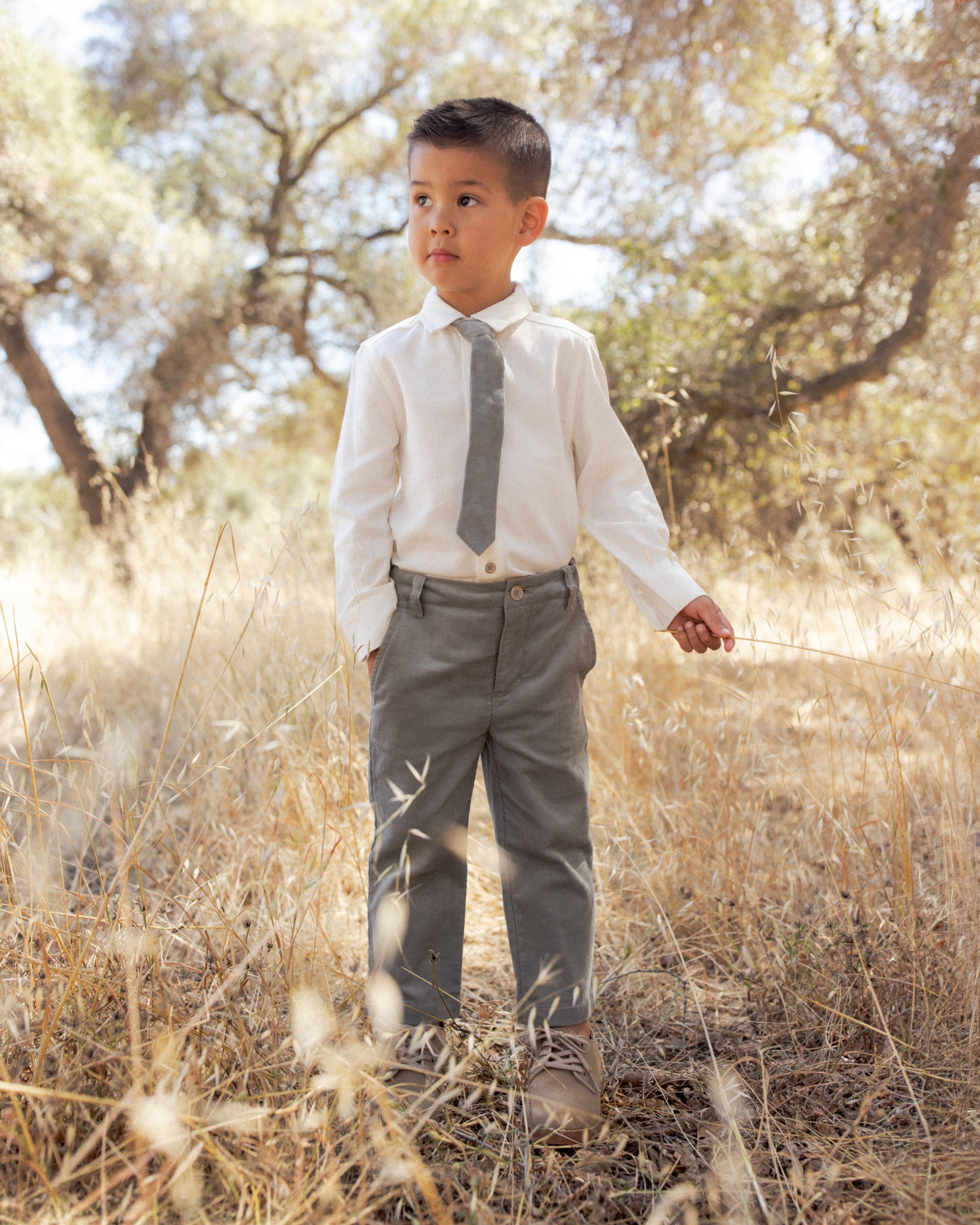 Chemise boutonnée Harrison en coton ivoire