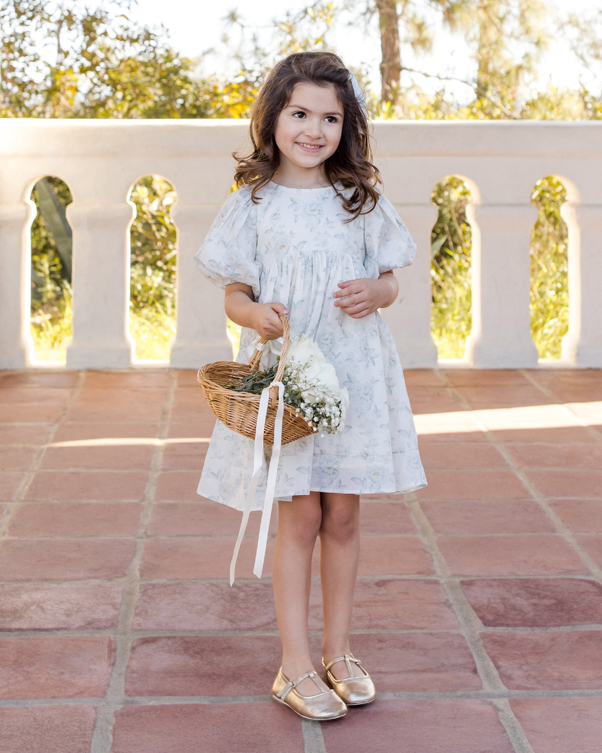 Luna Dress Mist English Rose