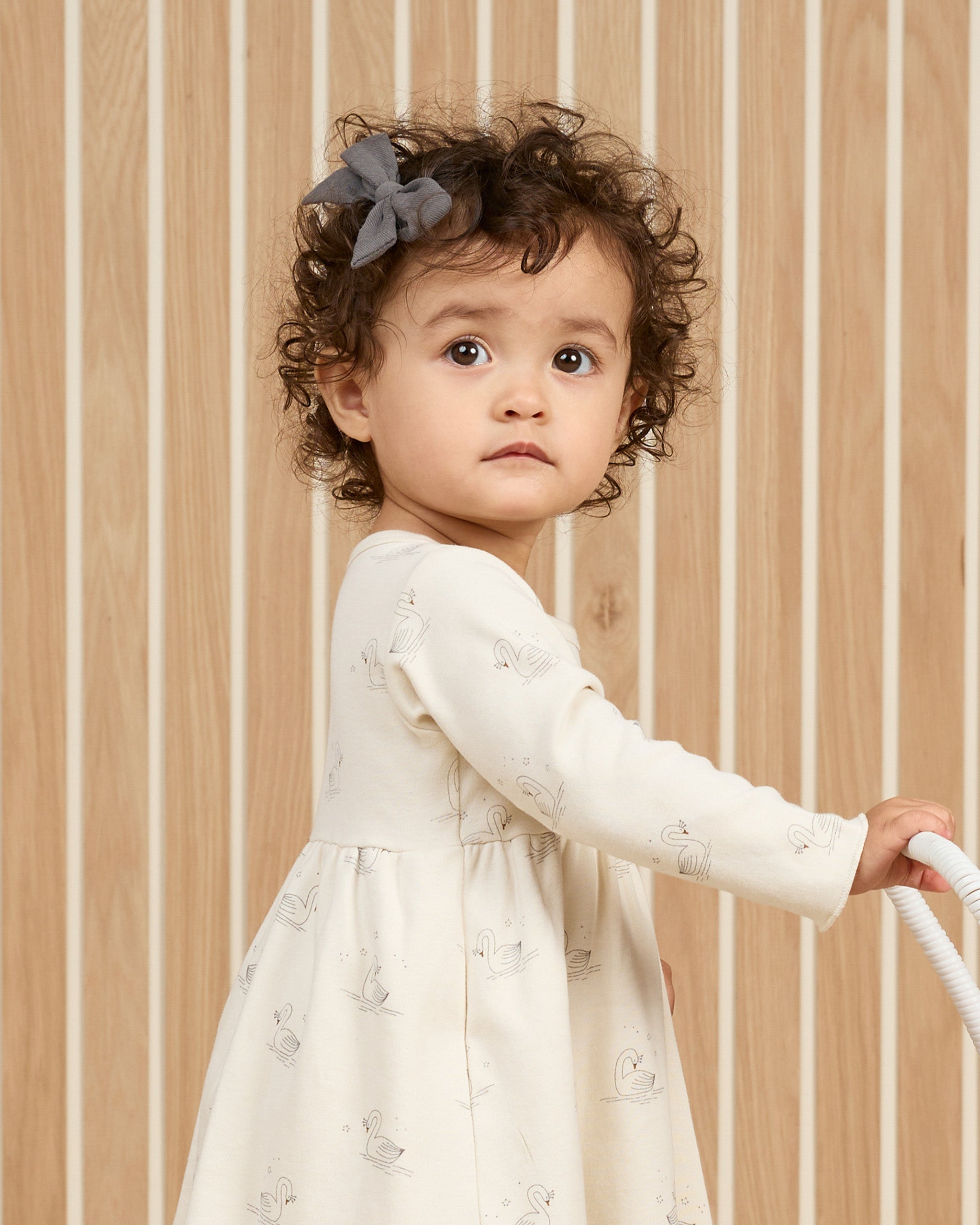 Long Sleeve Baby Dress || Swans