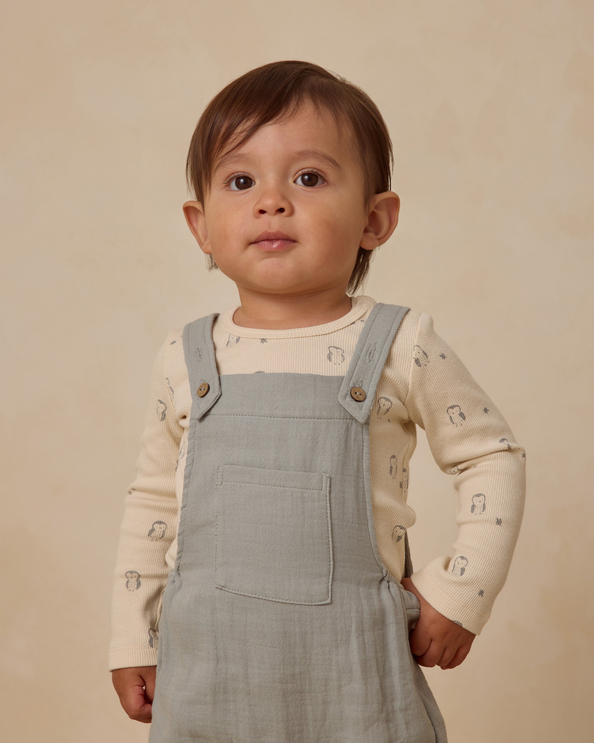 Ribbed Bodysuit, 2 Pack || Steel Blue Micro Stripe, Owls