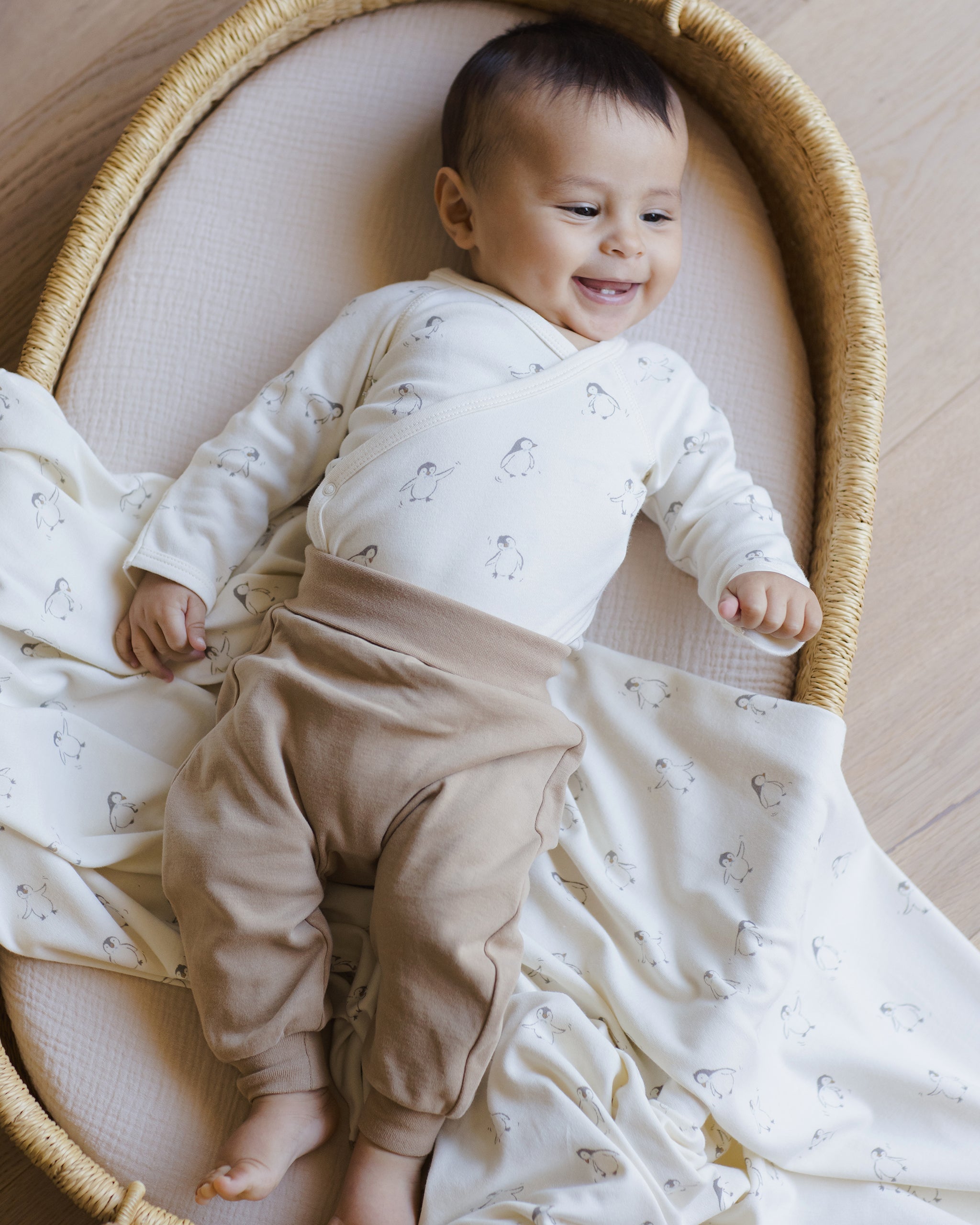 Swaddle || Penguins