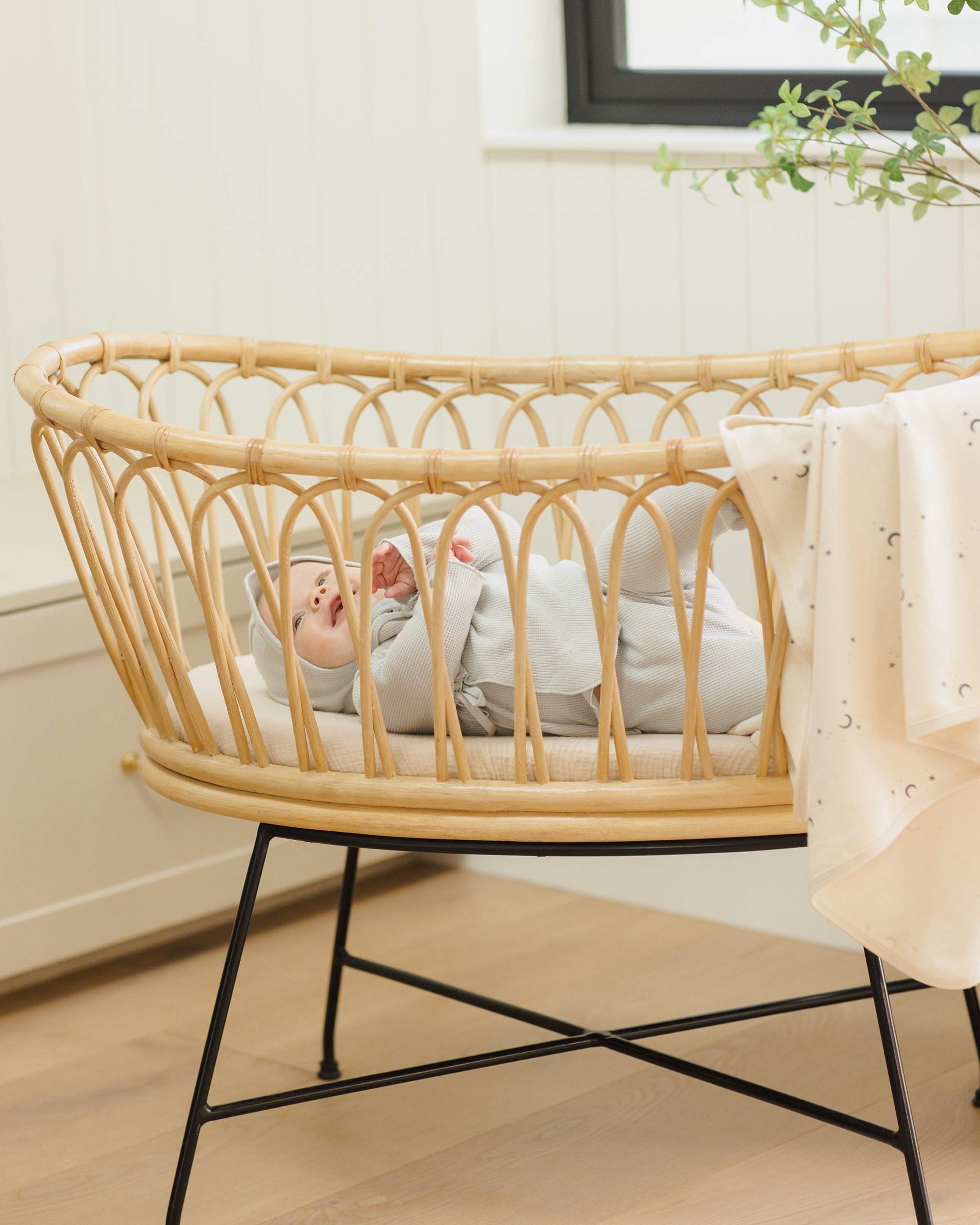 *Swaddle || Moons*