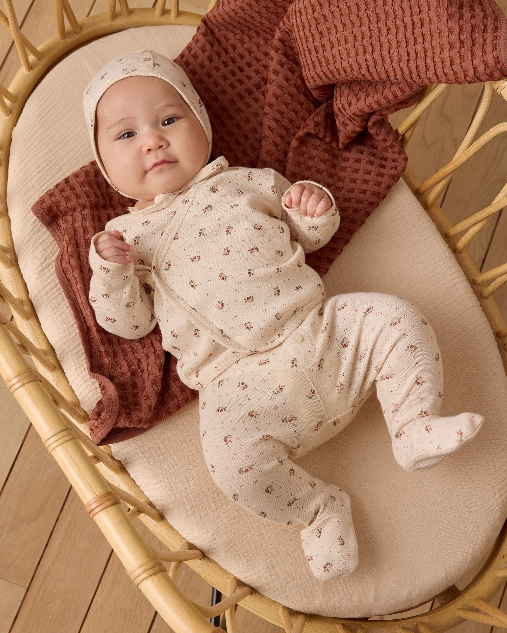 Take Home Set || Holly Berry