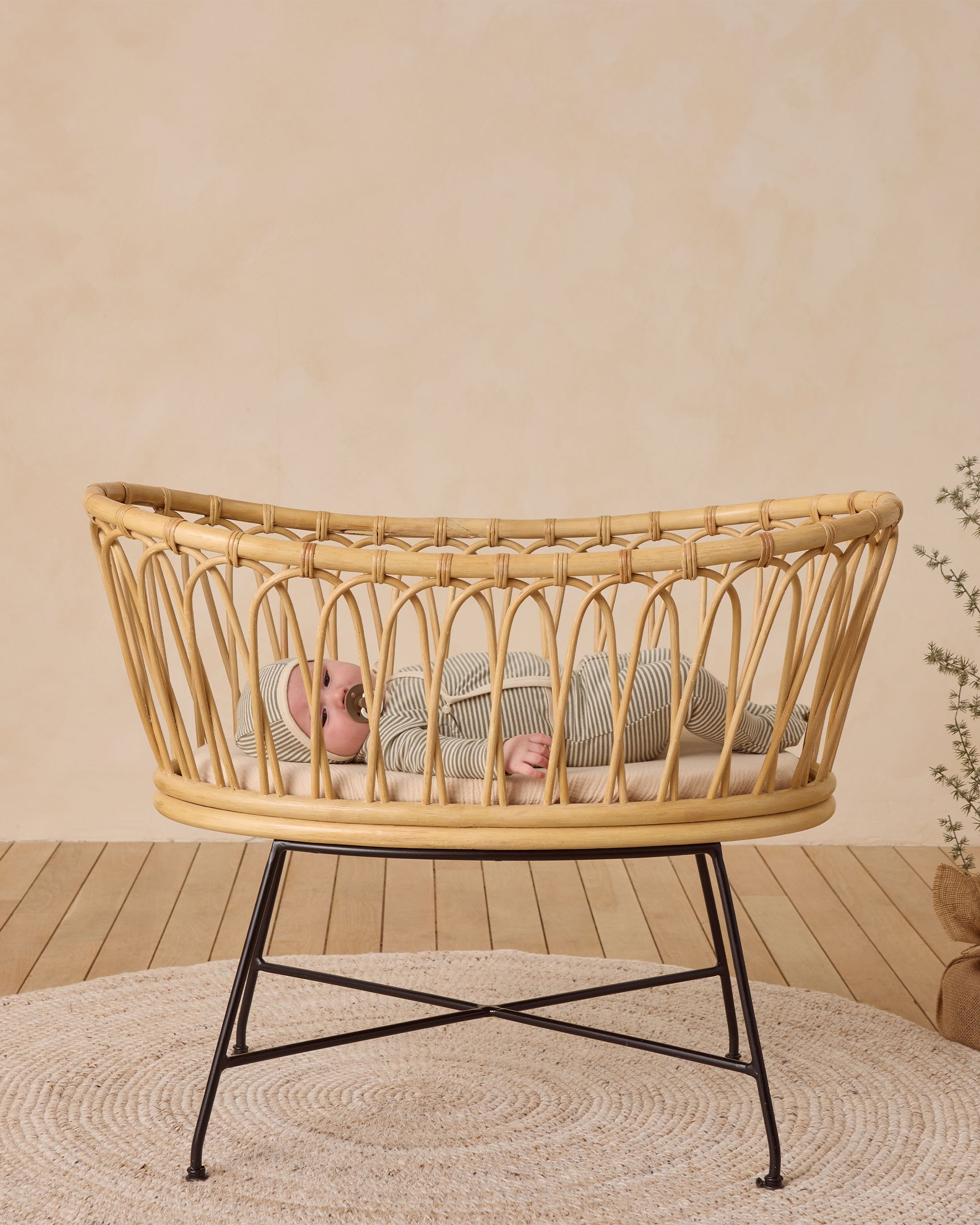 Take Home Set || Forest Stripe