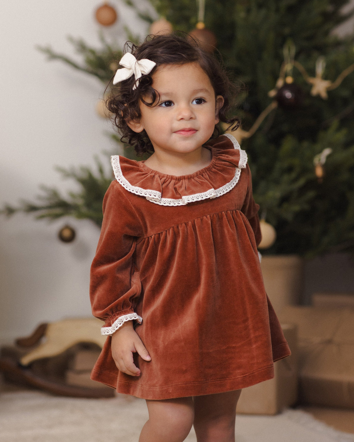 Velour Baby Dress Redwood