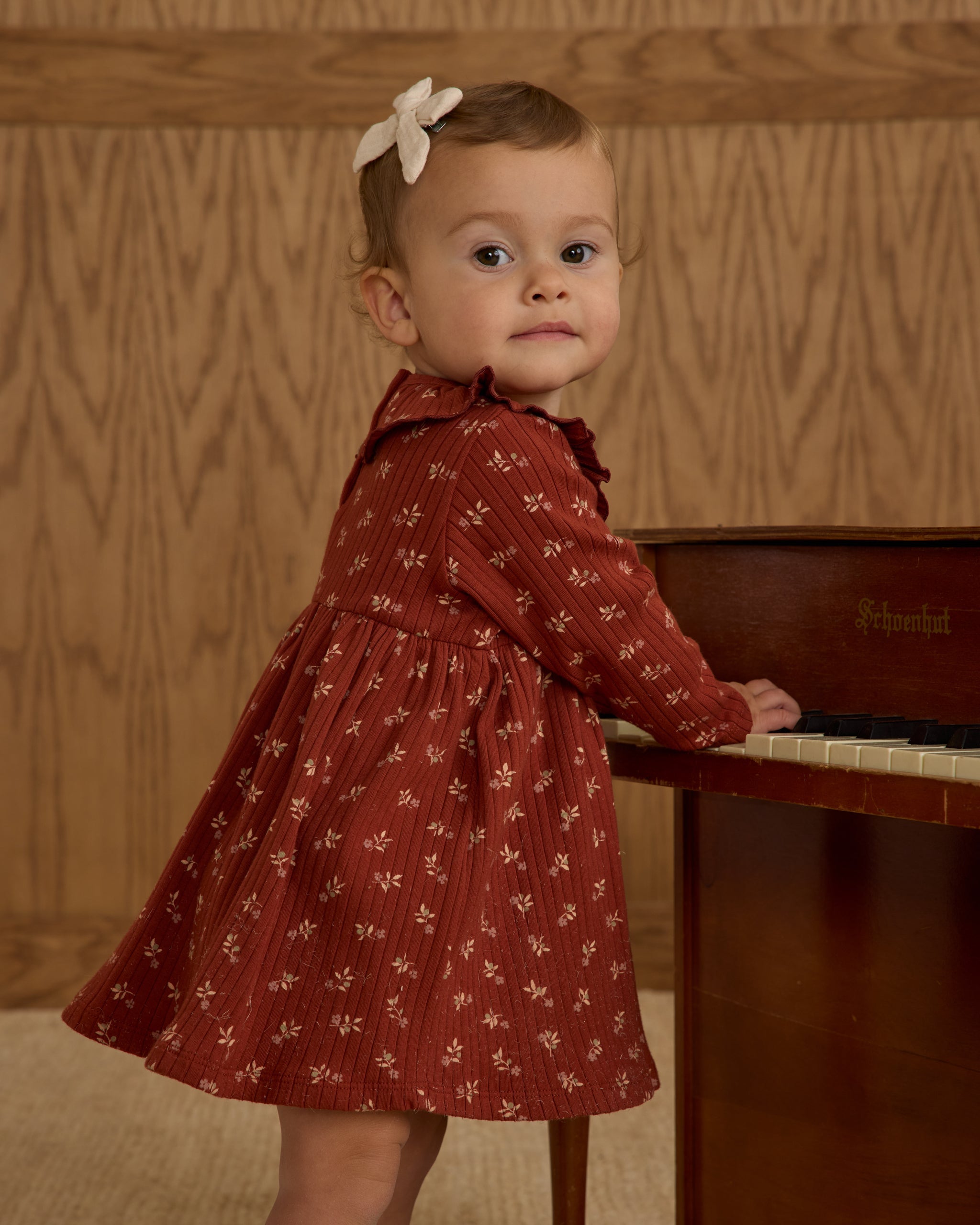 Ruffle Collar Dress || Ruby Ditsy