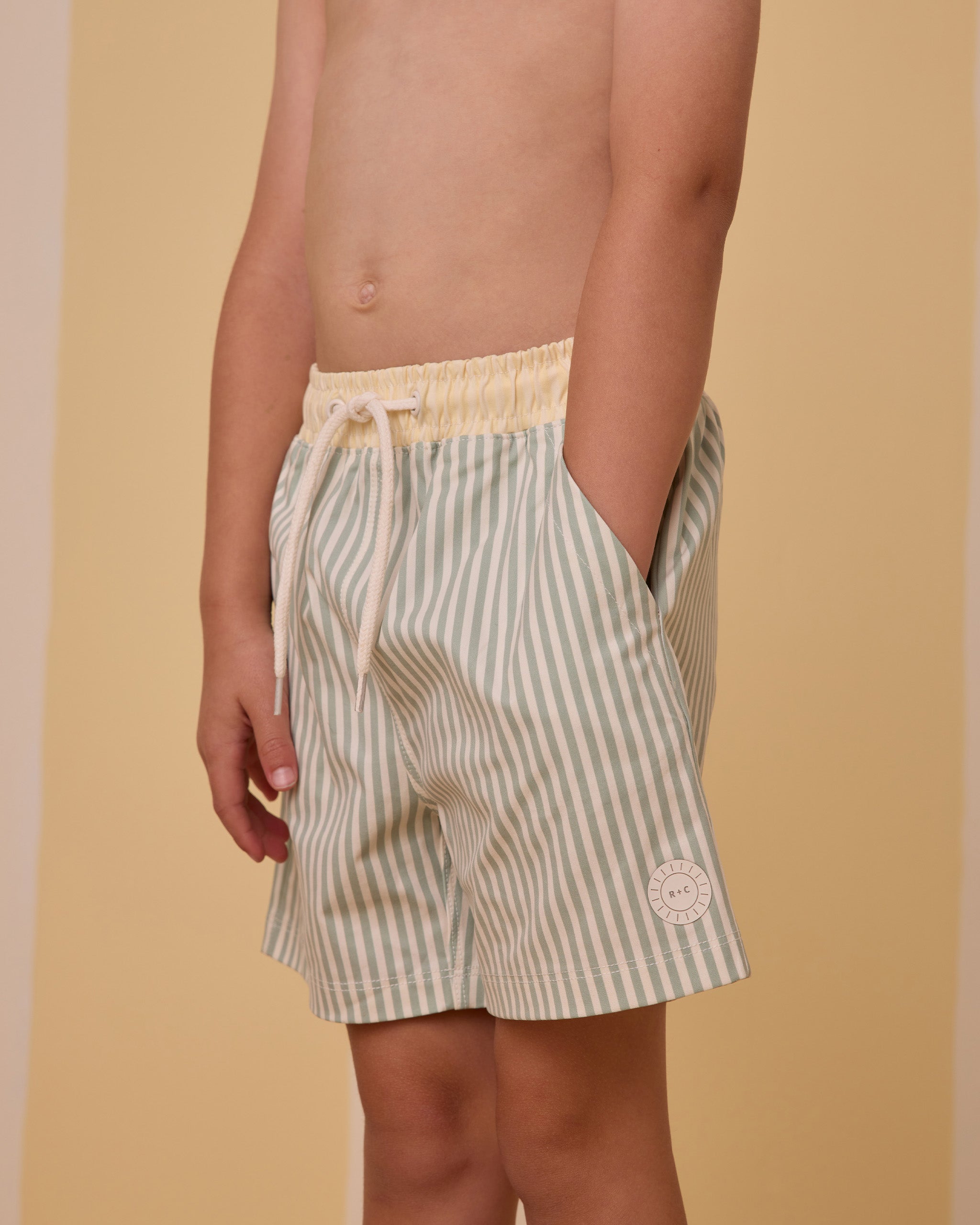 Boardshort || Sage Stripe