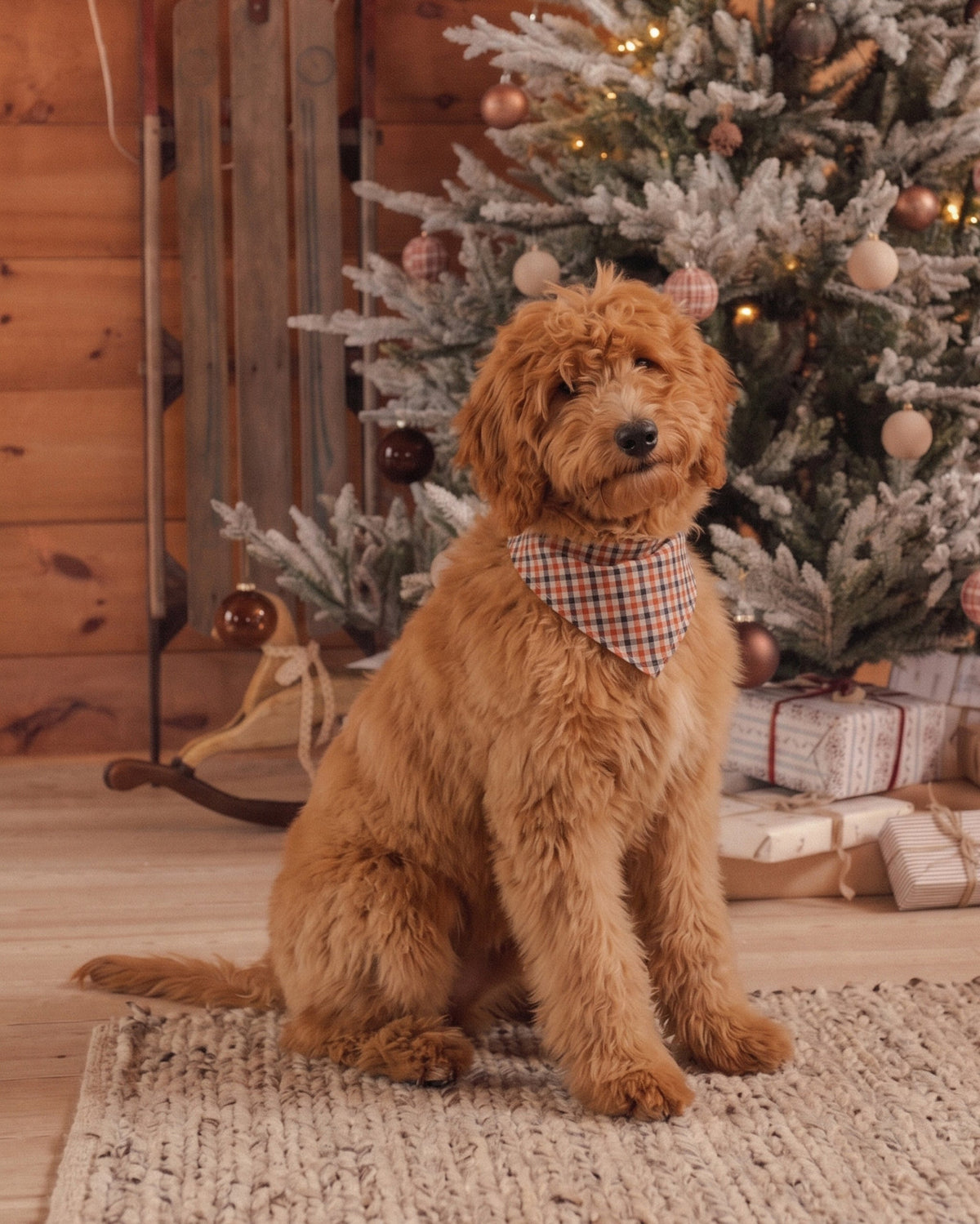 Dog Bandana Holiday Gingham - Rylee + Cru | Kids Clothes | Trendy Baby Clothes | Modern Infant Outfits |
