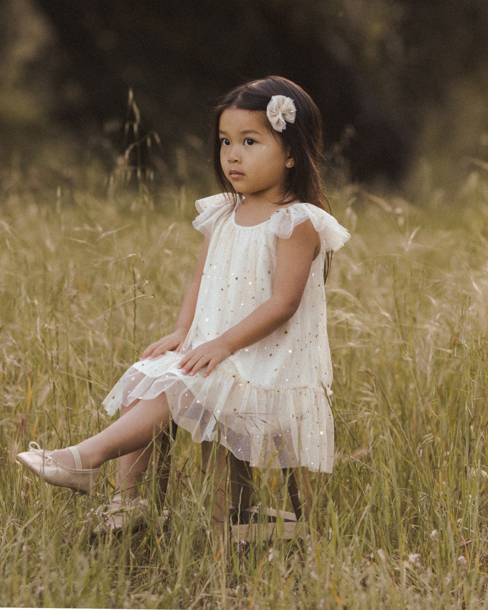 Edie Dress || Champagne Stars - Rylee + Cru Canada