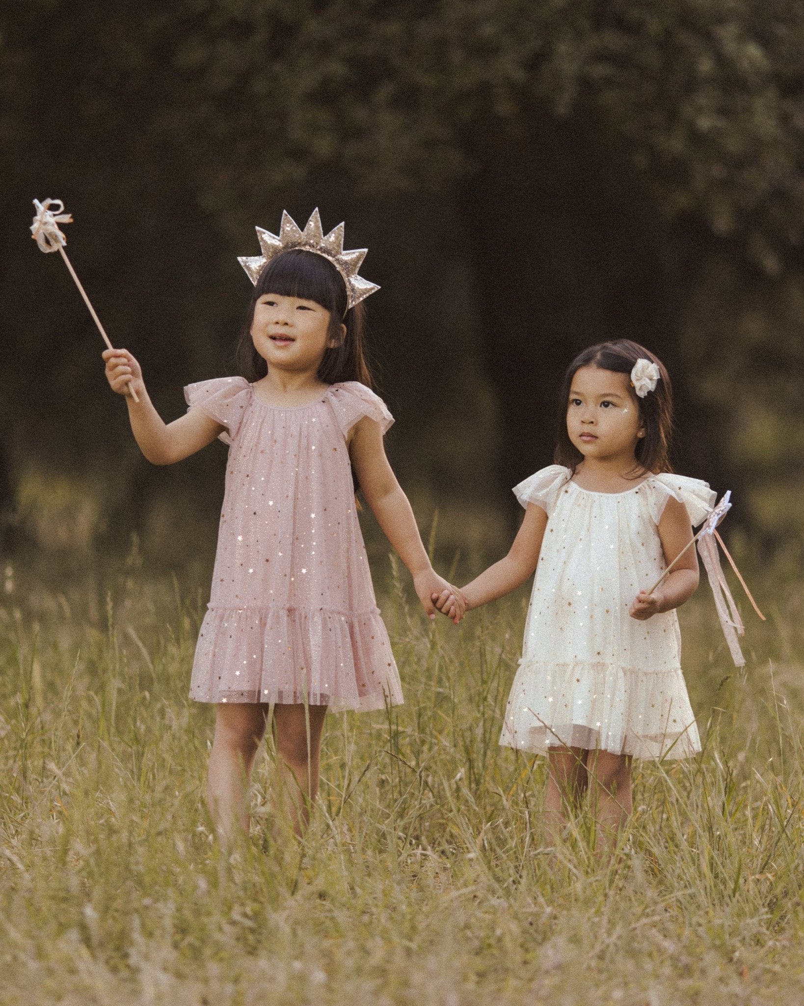 Edie Dress || Rose Stars - Rylee + Cru Canada