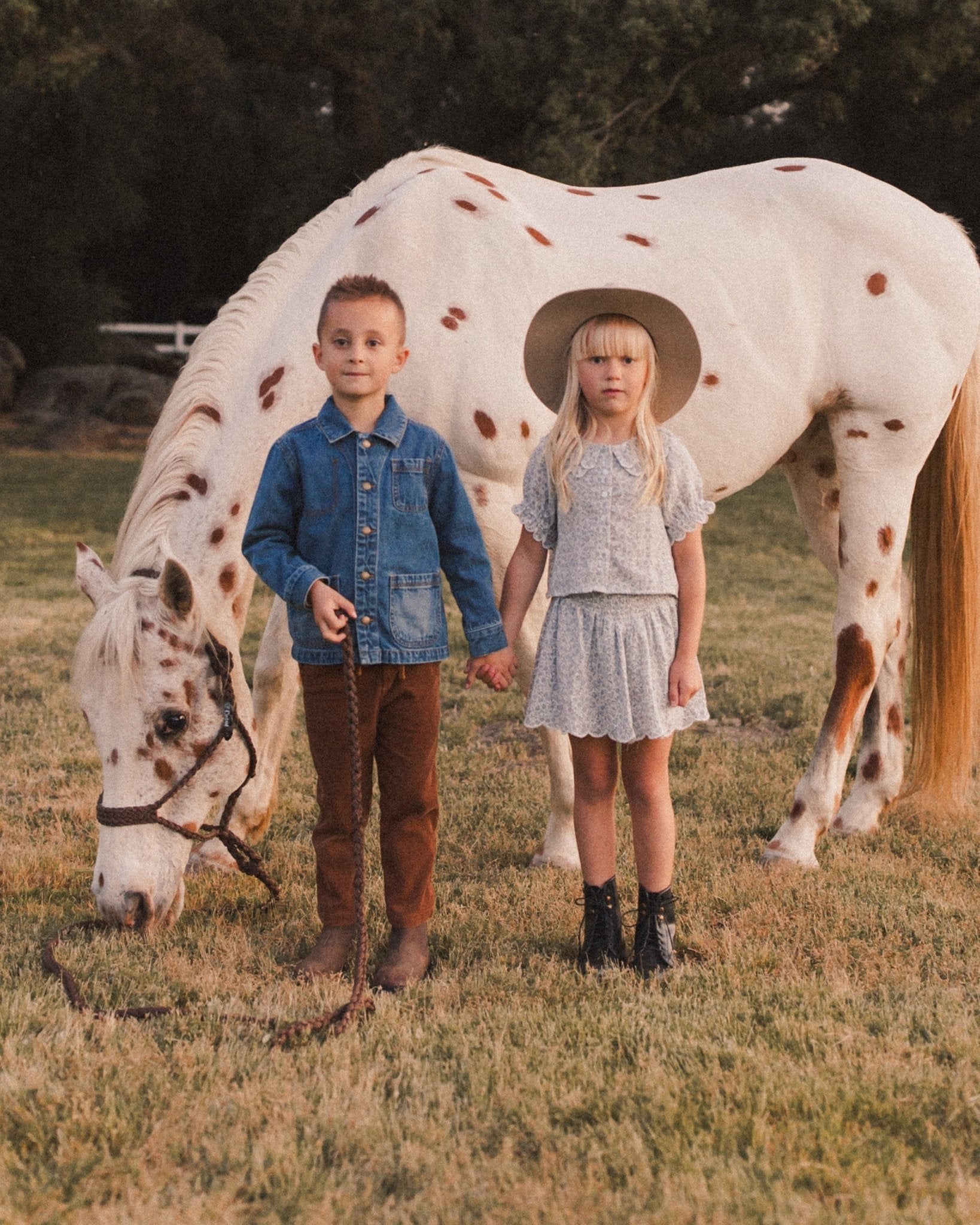 Kalen Pant || Saddle - Rylee + Cru Canada