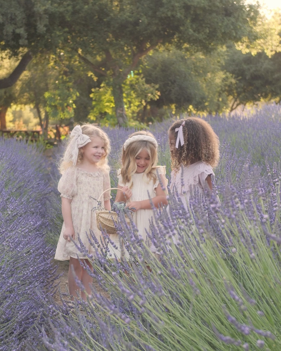 Millie Dress | Lavender Field