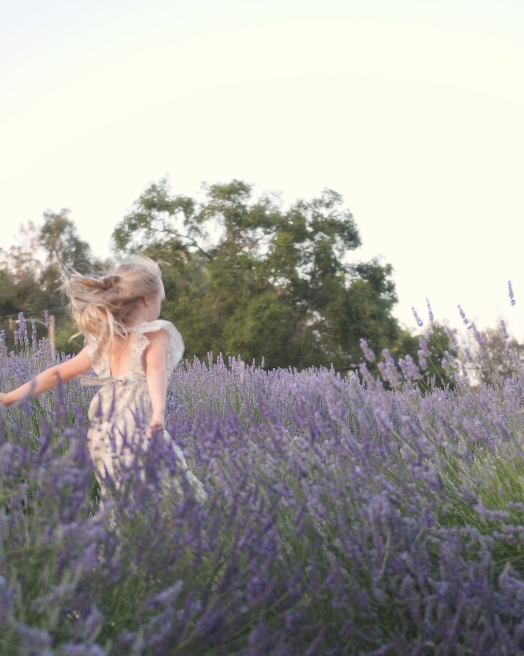 Lucy Dress | Sage Hydrangea