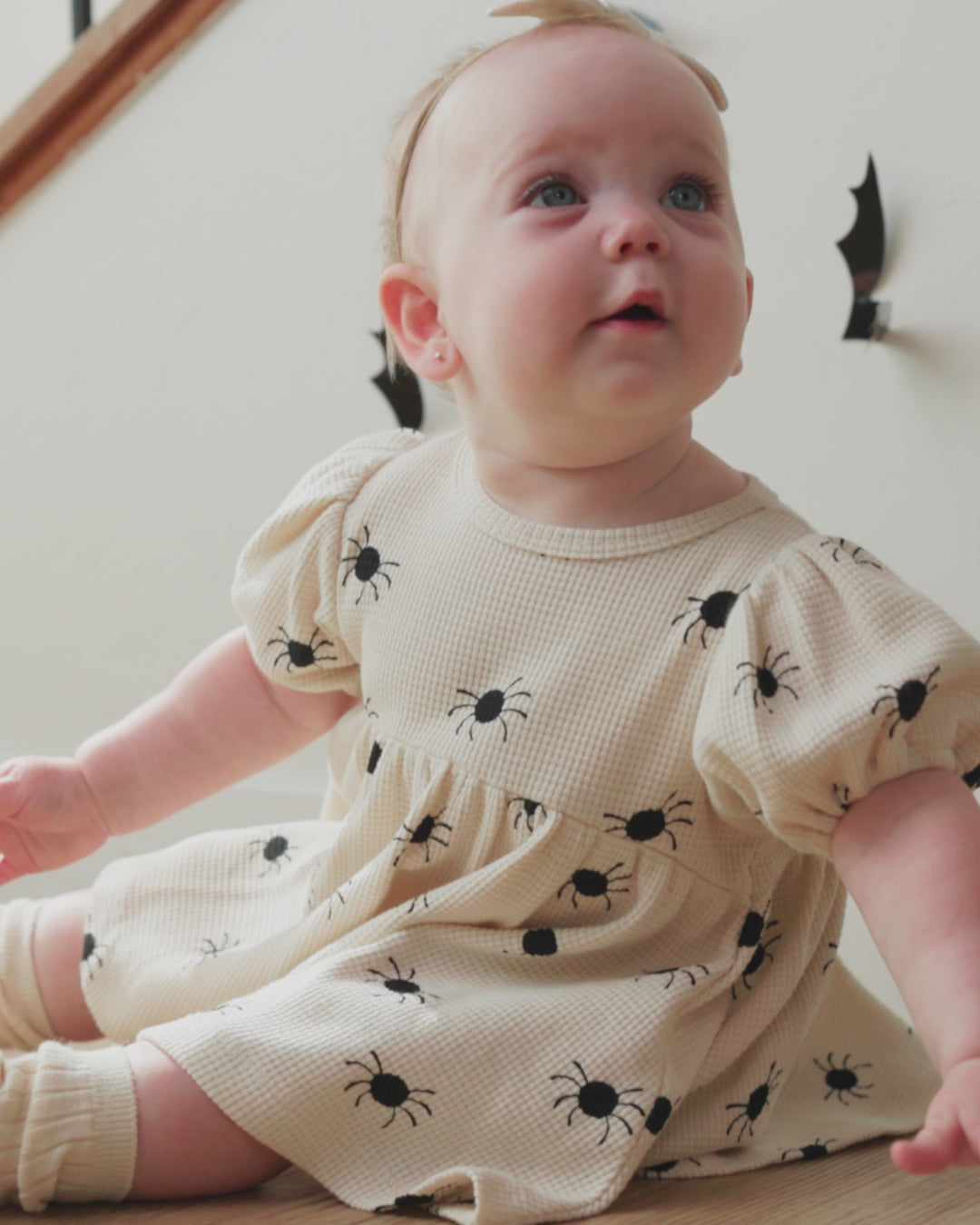 Darla Dress Bitsy Spider