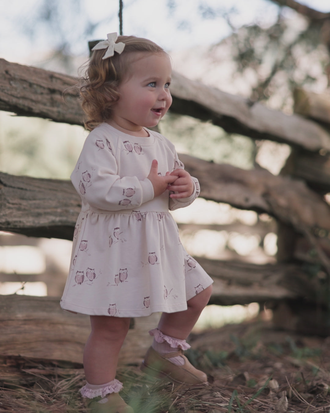 Raglan Dress Owls