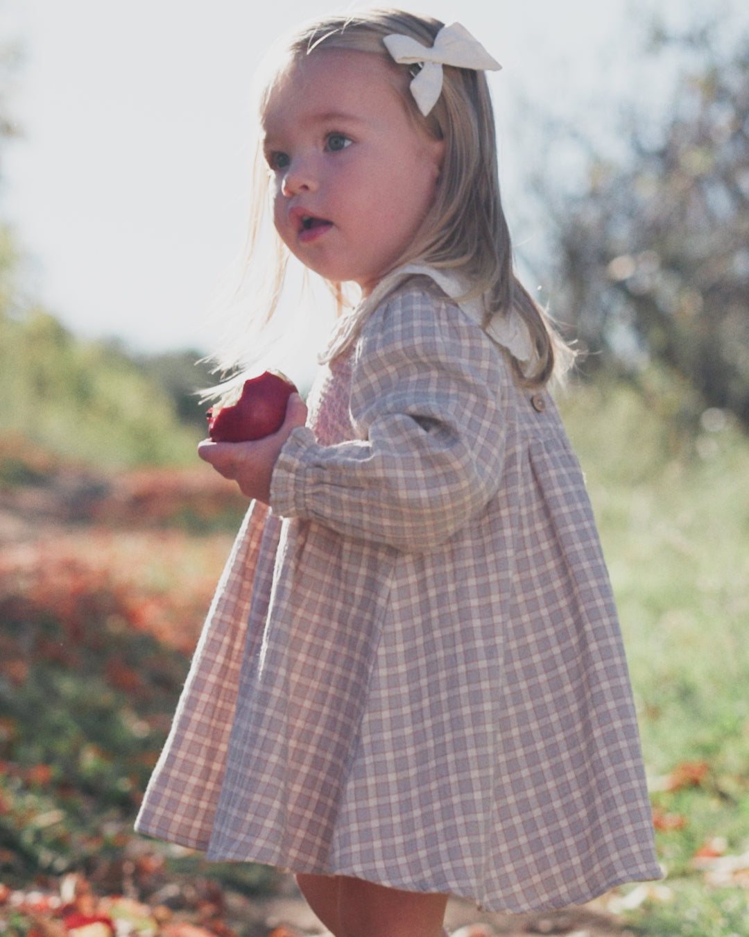 Callie Dress Blue Gingham