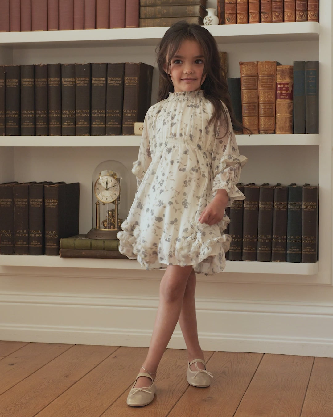Mirabelle Dress | Winter Vines