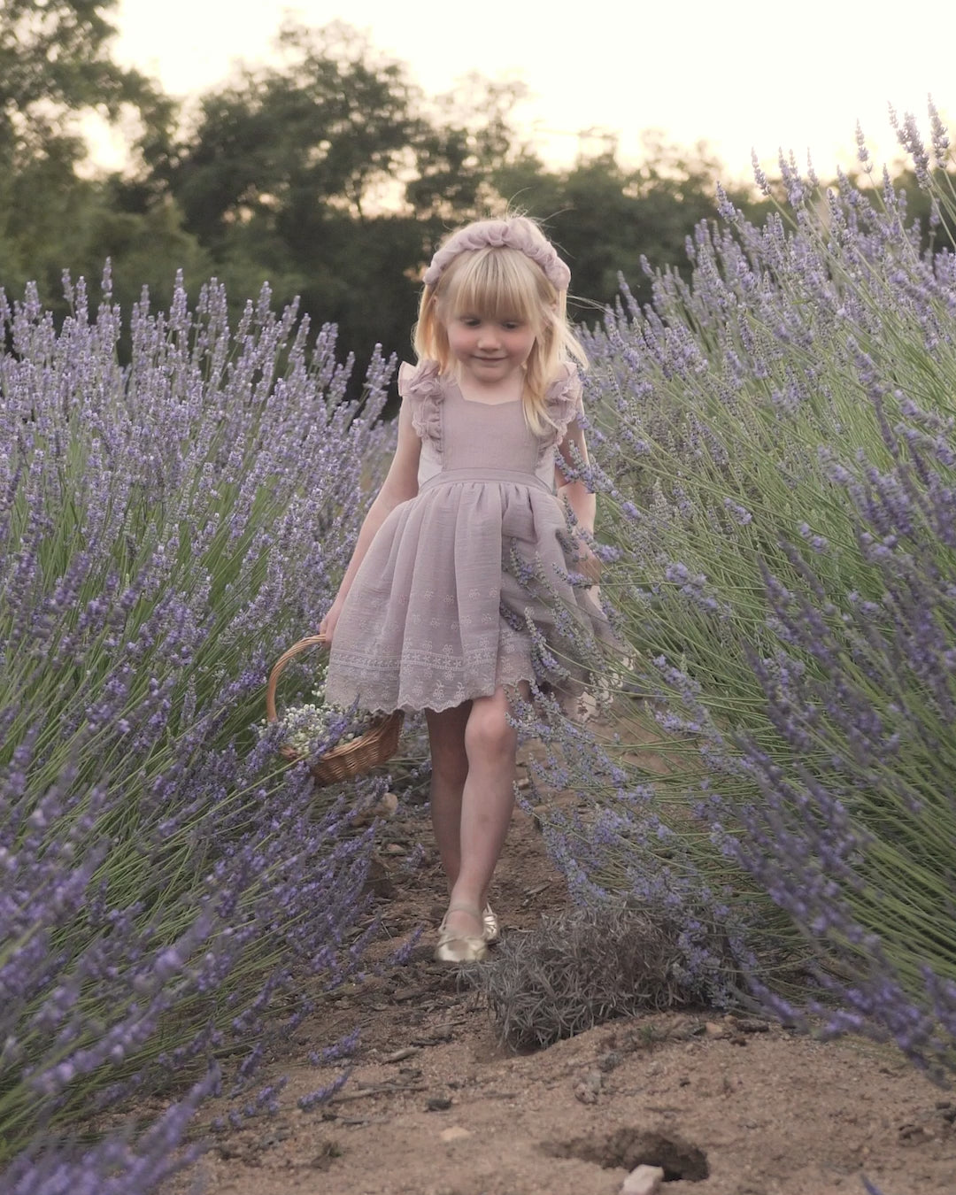 Provence Dress | Lavender