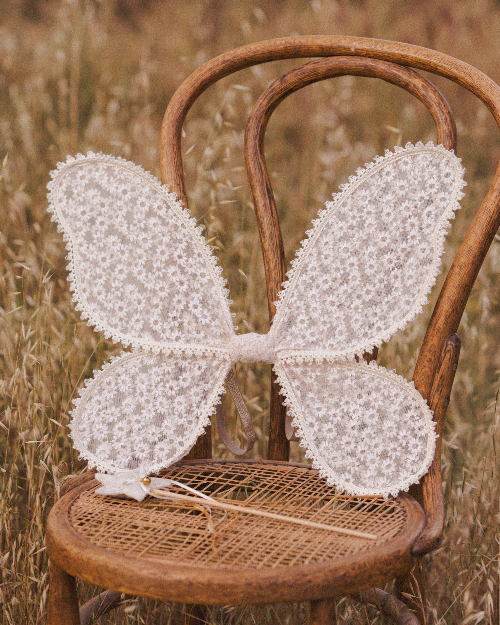 Wings || Daisy Embroidery - Rylee + Cru Canada